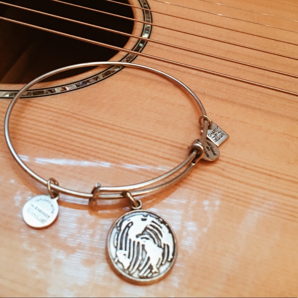 Alex and Ani Make Your Mark Charm Bangle
